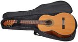 AMUMU Agile 5 Classical Guitar