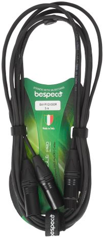 BESPECO EAYFX2X300R